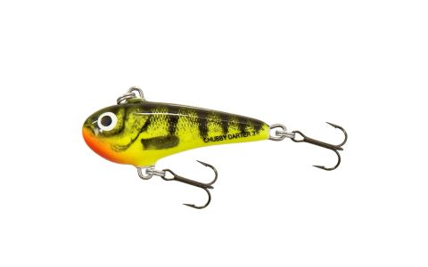 SALMO CHUBBY DARTER