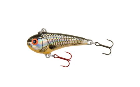 SALMO CHUBBY DARTER