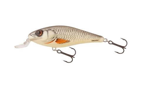 SALMO EXECUTOR