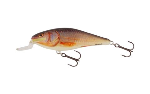 SALMO EXECUTOR