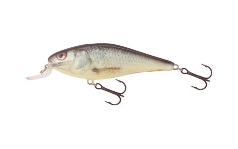 SALMO EXECUTOR
