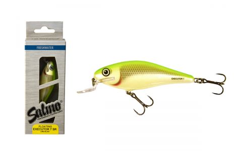 SALMO EXECUTOR