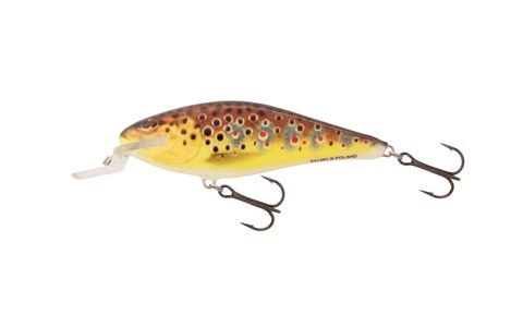 SALMO EXECUTOR
