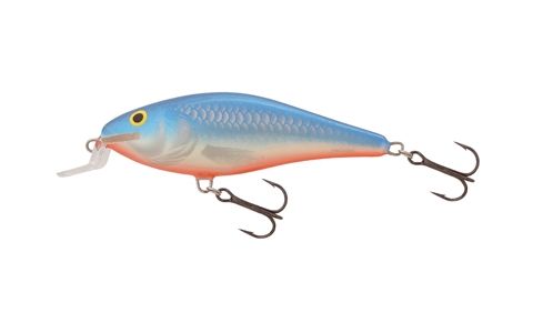 SALMO EXECUTOR
