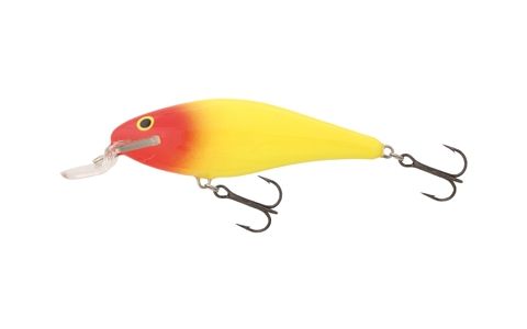 SALMO EXECUTOR