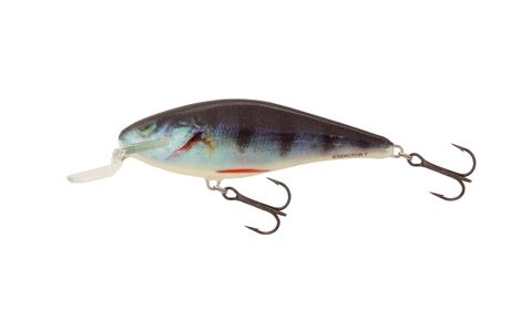 SALMO EXECUTOR