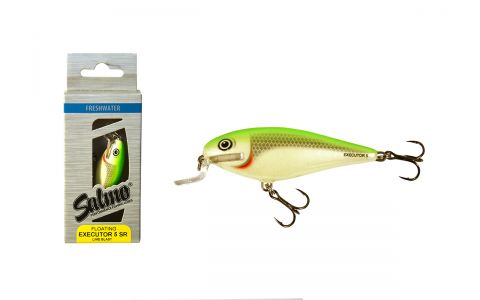 SALMO EXECUTOR