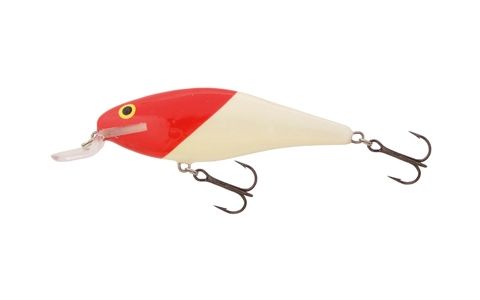 SALMO EXECUTOR