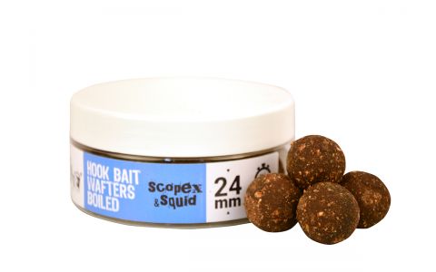 THE BIG ONE HOOK BAIT WAFTERS BOILIE