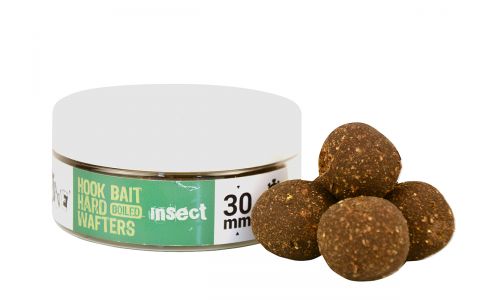 THE BIG ONE HOOK BAIT HARD WAFTERS BOILIE