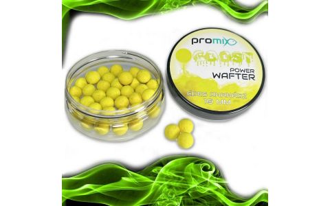 PROMIX GOOST POWER WAFTER 8MM, 10MM