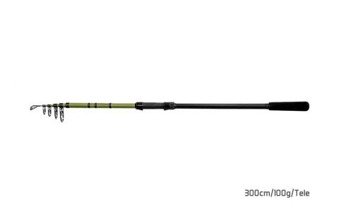 Delphin PARTISAN 330cm/110g/Tele