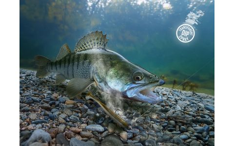 Dipovací sprej Delphin STINX SPRAY/30ml Ustrica /transparentný