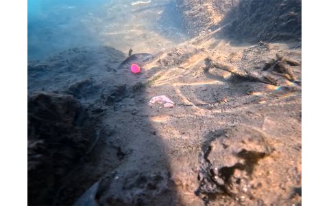 Olovená záťaž Delphin CyberBARBED TUBE 200g