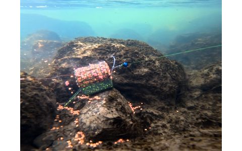 Krmítko s olovenou záťažou Delphin RiverSTIX 100g
