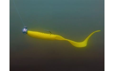 Jigová hlava s držiakom Delphin TYRE / 5ks 12g-5/0