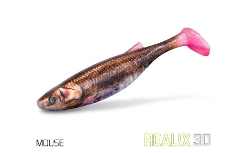 DuoPACK BOX Delphin Realix 3D / 6 x 2ks 13cm / Trout