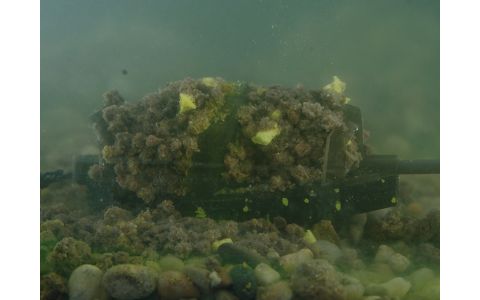 Krmítko bez olova Delphin Method QUIX ECO XL 120g